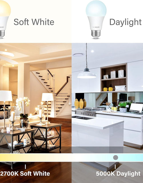 Load image into Gallery viewer, Light Bulbs 100 Watt Equivalent LED Bulbs, A19 Daylight Standard Light Bulbs 5000K White,Non-Dimmable 13W Energy Efficient Light Bulbs with E26 Medium Base,1500Lm,Ul Listed,6 Pack
